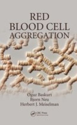 Red Blood Cell Aggregation