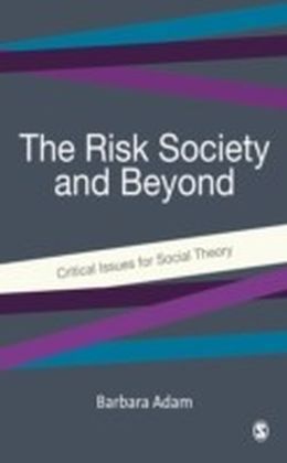 Risk Society and Beyond