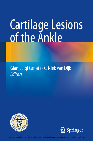 Cartilage Lesions of the Ankle main product photo