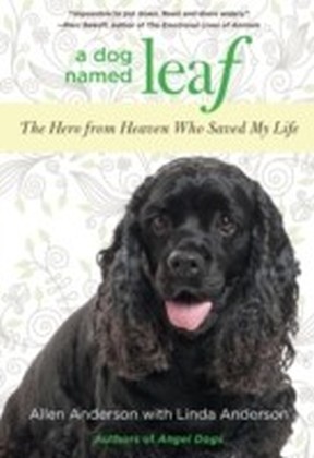 Dog Named Leaf