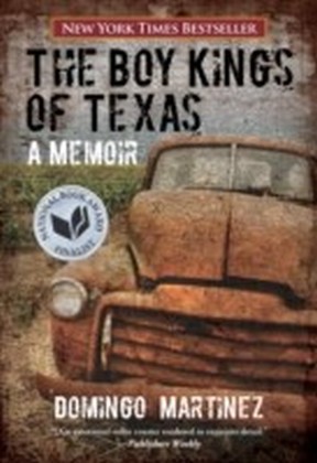 Boy Kings of Texas