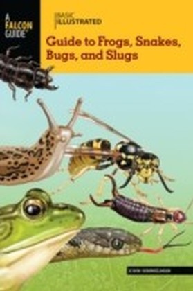 Basic Illustrated Guide to Frogs, Snakes, Bugs, and Slugs