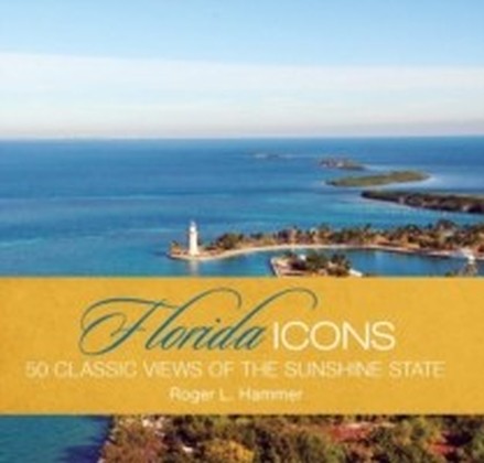 Florida Icons main product photo