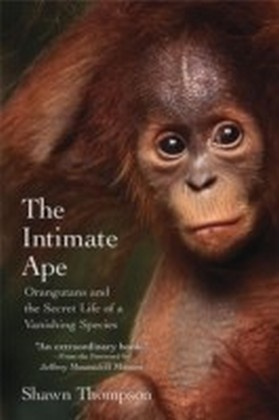 Intimate Ape