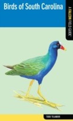 Birds of South Carolina main product photo