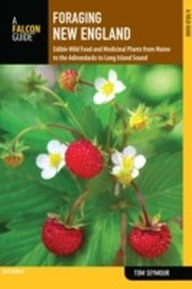Foraging New England