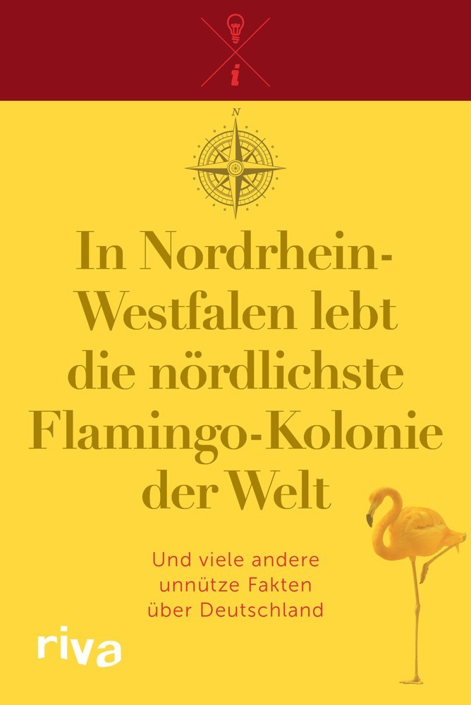 In Nordrhein-Westfalen lebt die nördlichste Flamingo-Kolonie der Welt main product photo