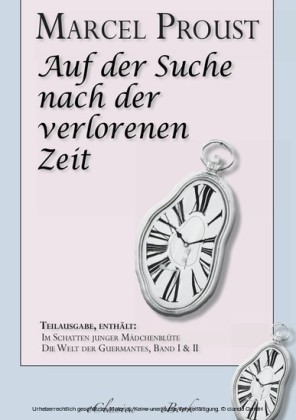Marcel Proust: Auf der Suche nach der verlorenen Zeit (Teilausgabe, ca. 1100 Seiten)
