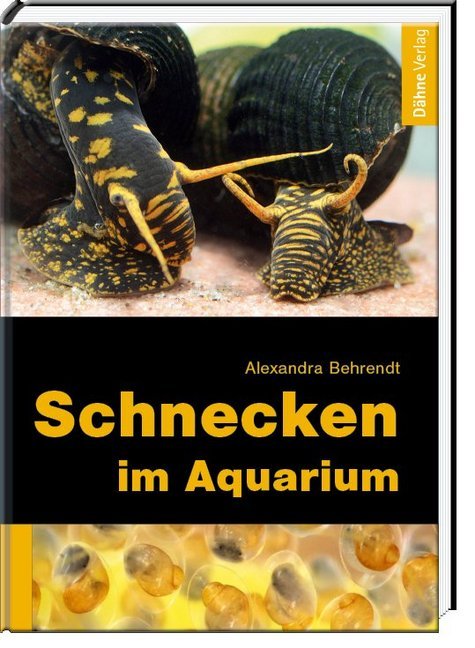 Schnecken im Aquarium main product photo