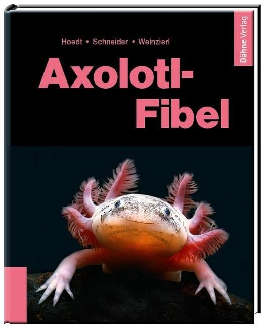 Axolotl-Fibel main product photo