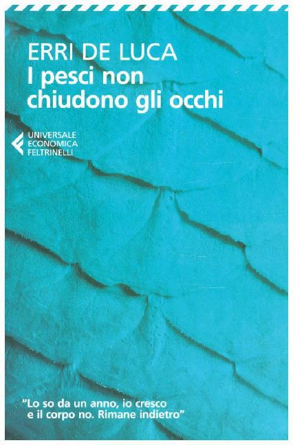 I pesci non chiudono gli occhi main product photo