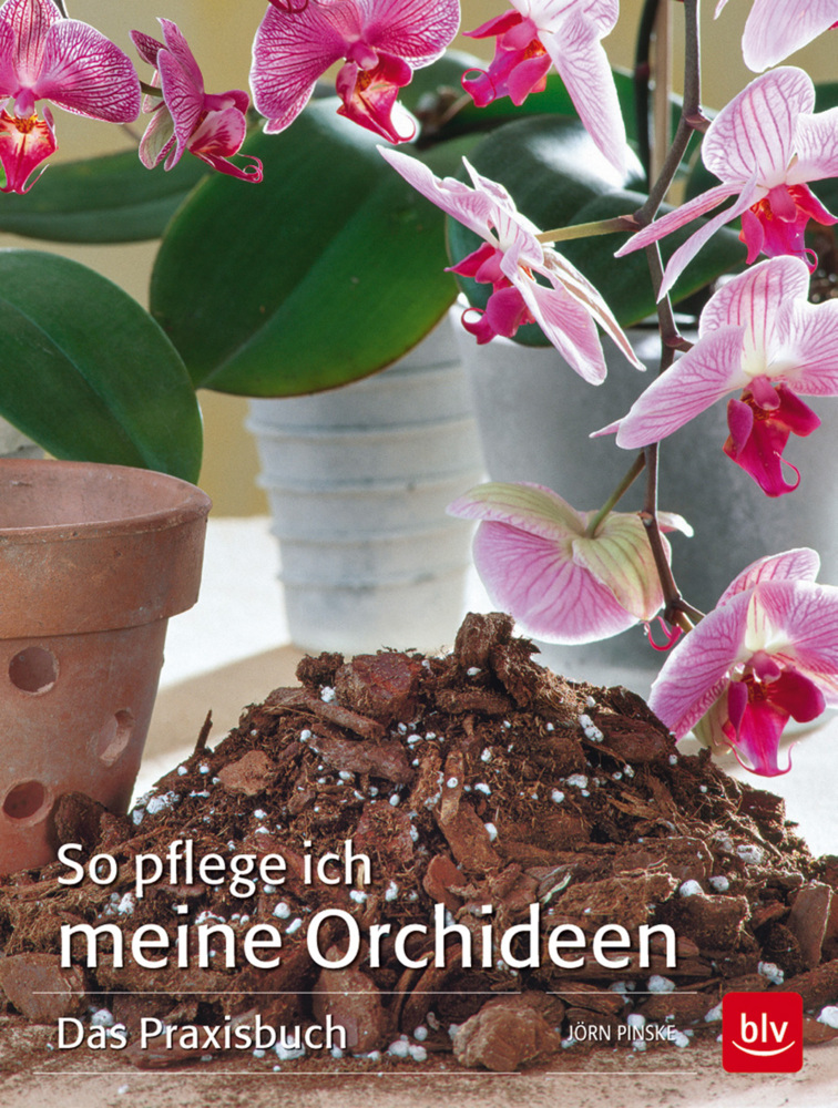 So pflege ich meine Orchideen main product photo