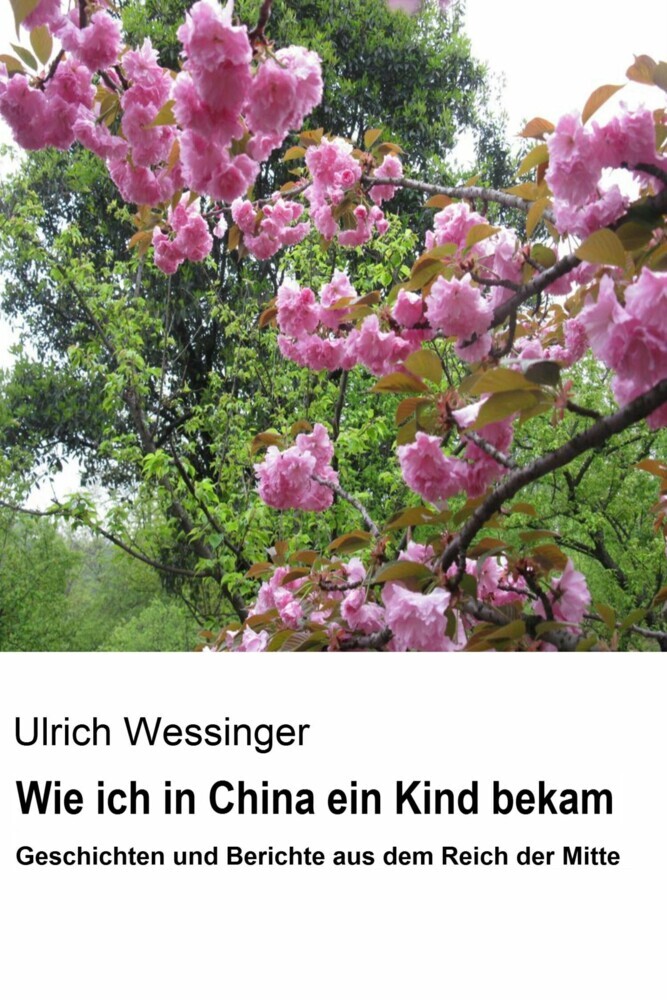 Wie ich in China ein Kind bekam main product photo