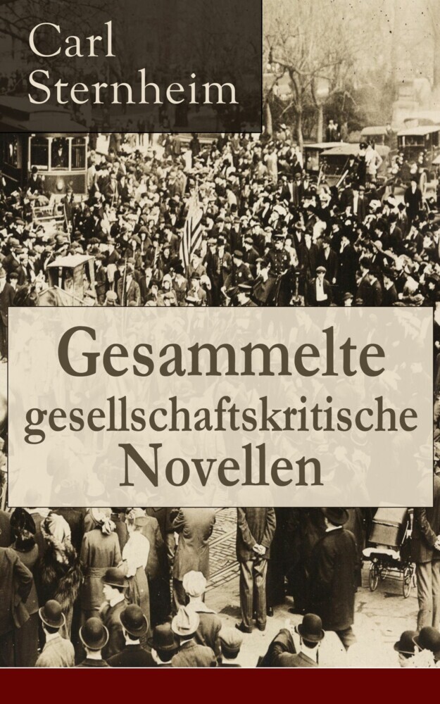Gesammelte gesellschaftskritische Novellen main product photo
