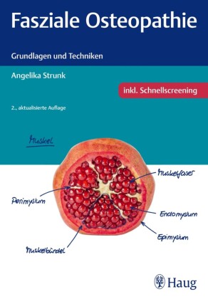 Fasziale Osteopathie
