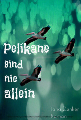 Pelikane sind nie allein