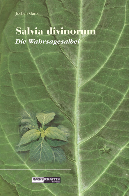 Salvia Divinorum - Die Wahrsagesalbei main product photo
