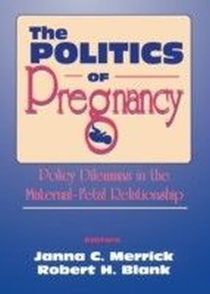 Politics of Pregnancy main product photo