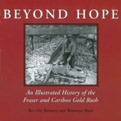 Beyond Hope main product photo