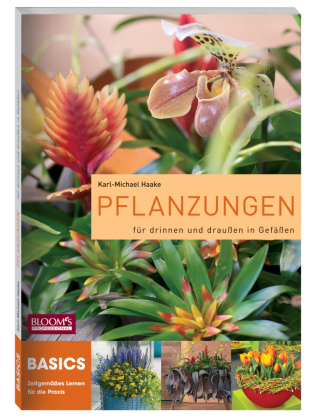Pflanzungen für drinnen und draußen in Gefäßen