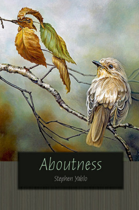 Aboutness