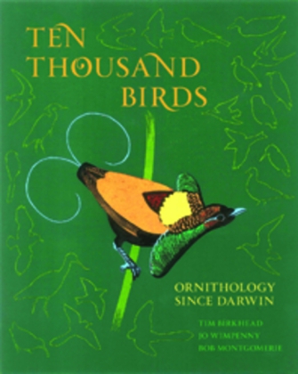 Ten Thousand Birds