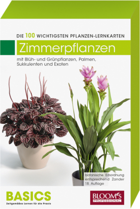 Zimmerpflanzen