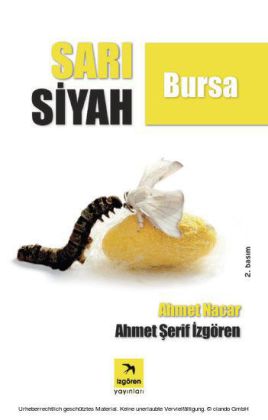 SARI S YAH