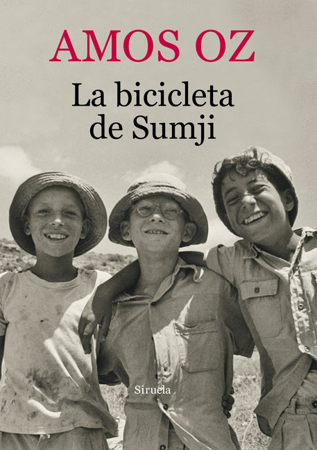 La bicicleta de Sumji main product photo