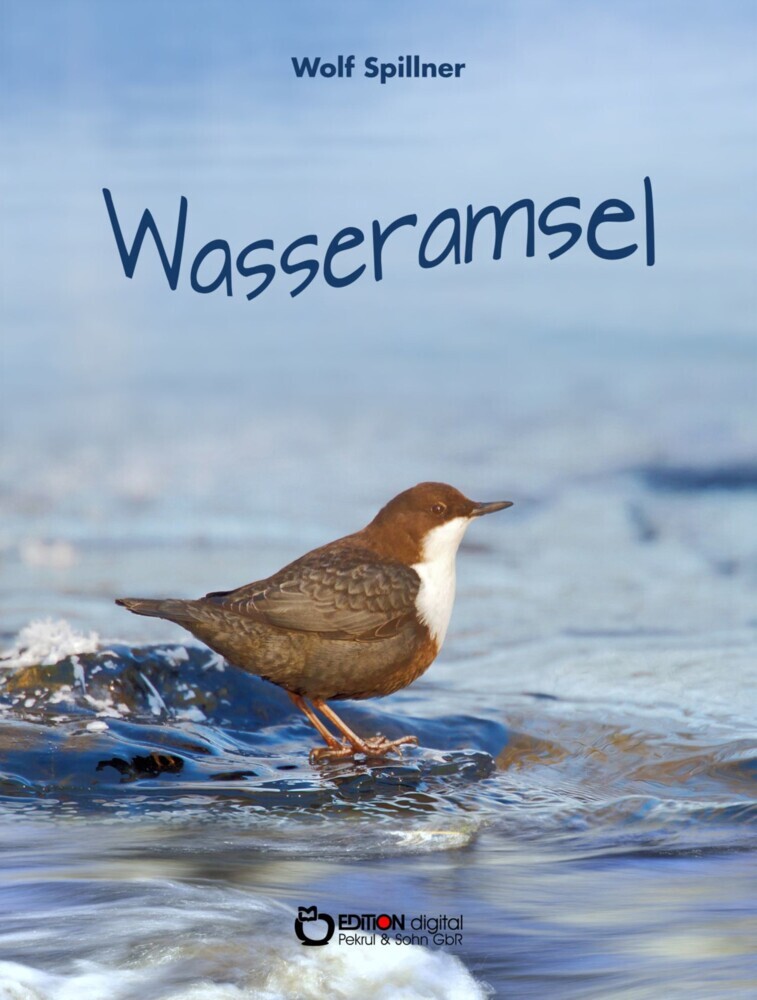 Wasseramsel main product photo