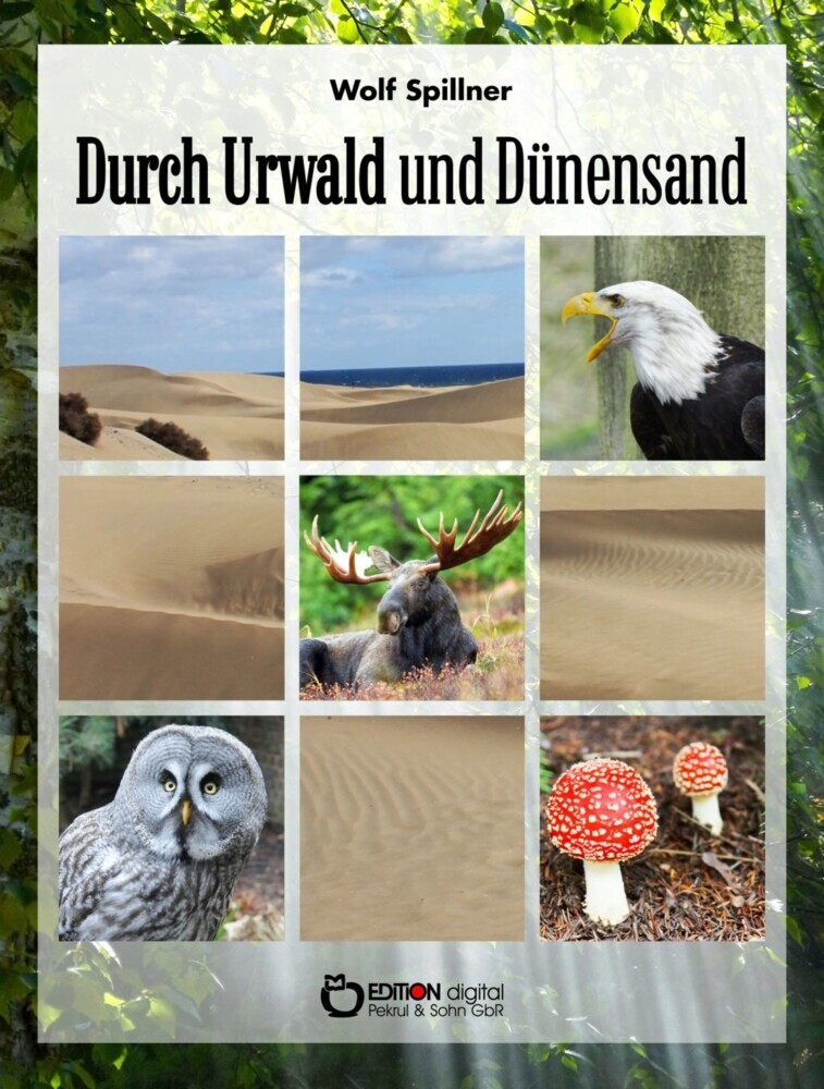 Durch Urwald und Dünensand main product photo