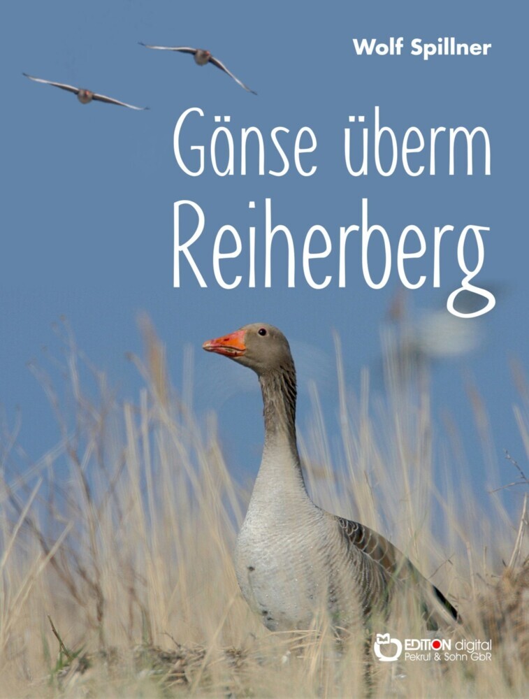 Gänse überm Reiherberg main product photo
