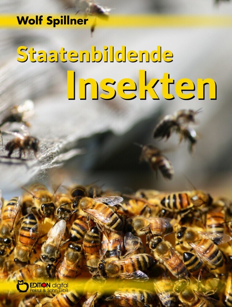 Staatenbildende Insekten main product photo
