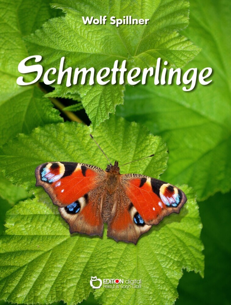 Schmetterlinge main product photo