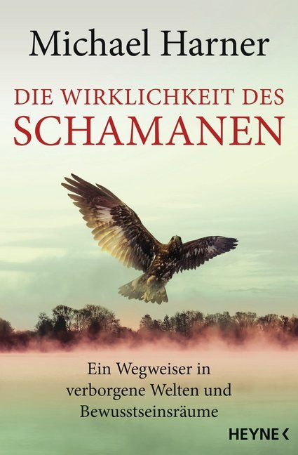 Die Wirklichkeit des Schamanen main product photo