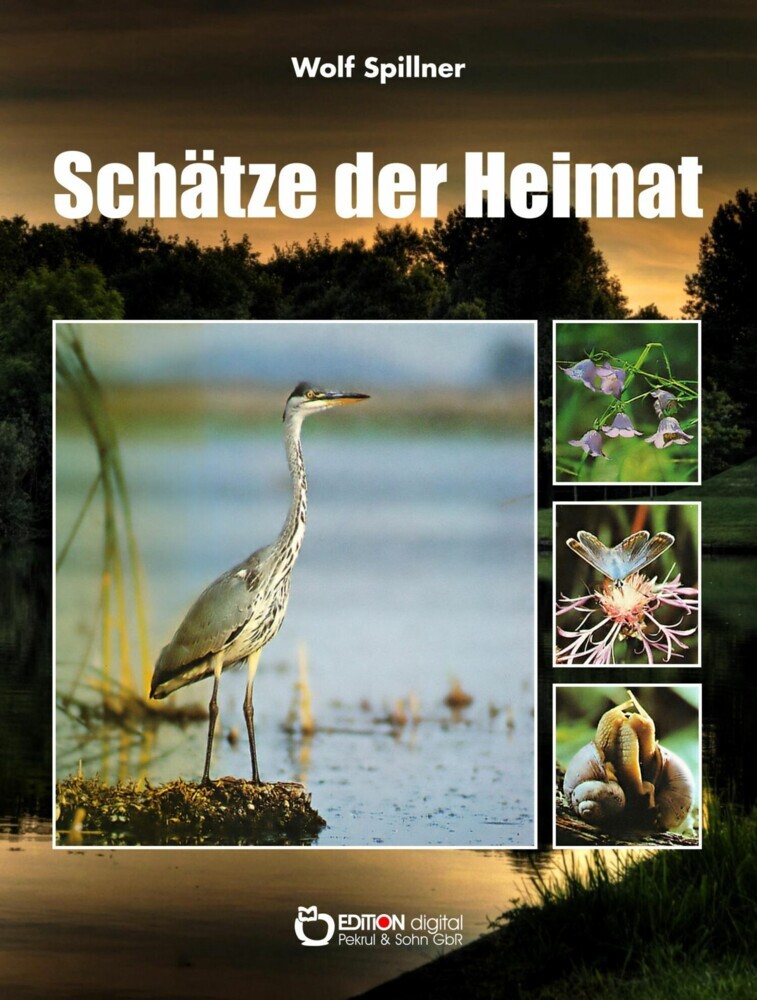Schätze der Heimat main product photo