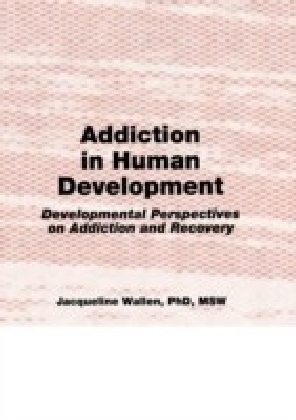 Addiction in Human Development main product photo