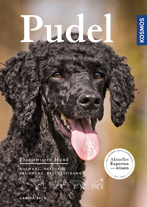 Pudel main product photo