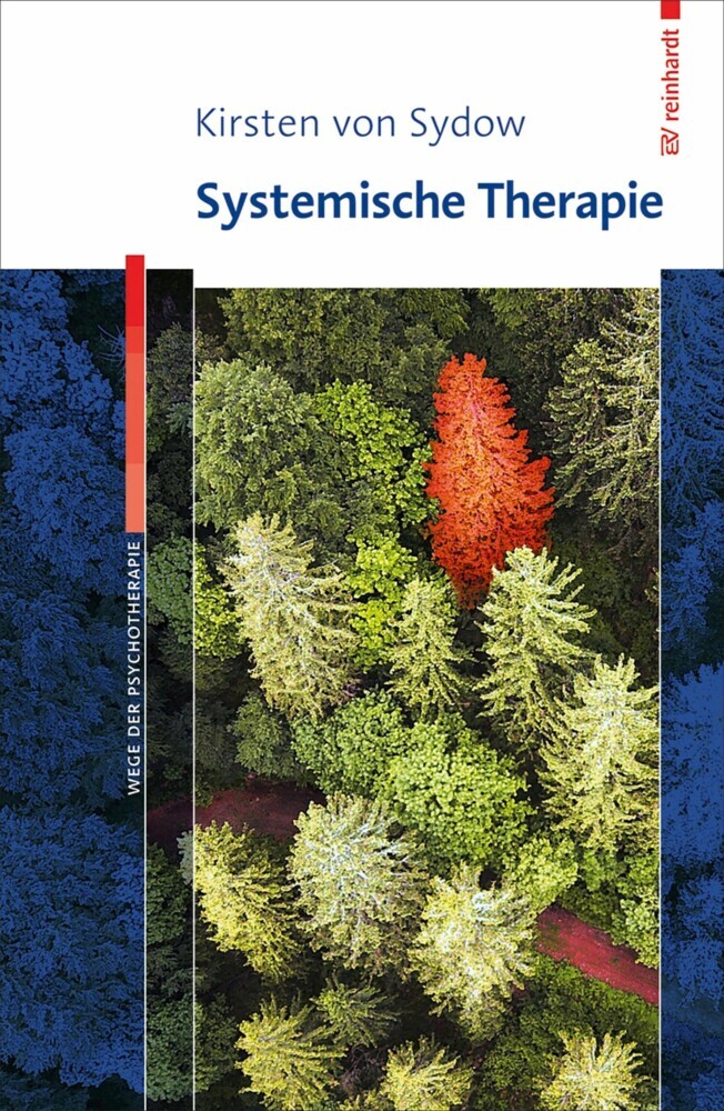 Systemische Therapie main product photo