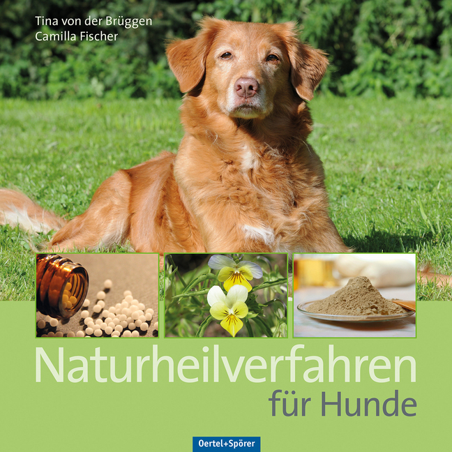 Naturheilverfahren für Hunde main product photo