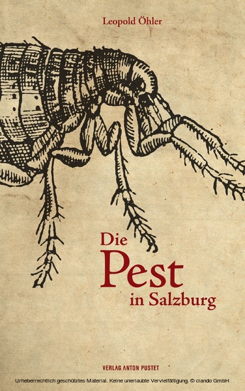 Die Pest in Salzburg main product photo