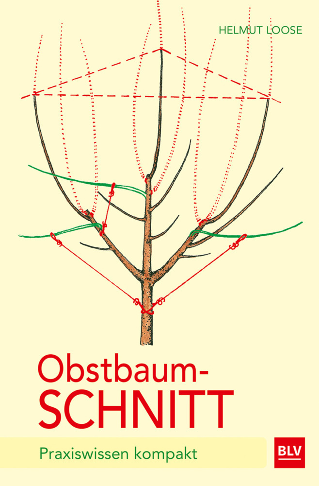 Obstbaumschnitt main product photo