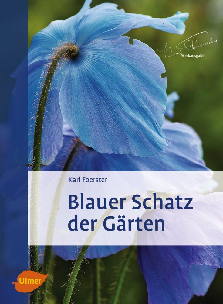Blauer Schatz der Gärten main product photo