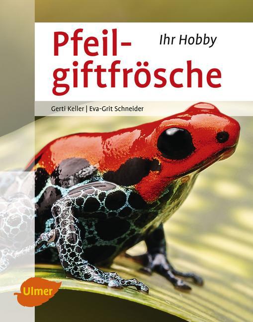 Pfeilgiftfrösche main product photo