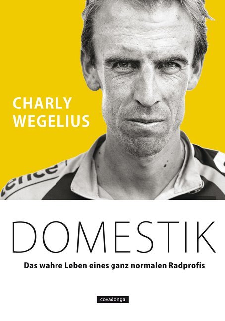 Domestik main product photo