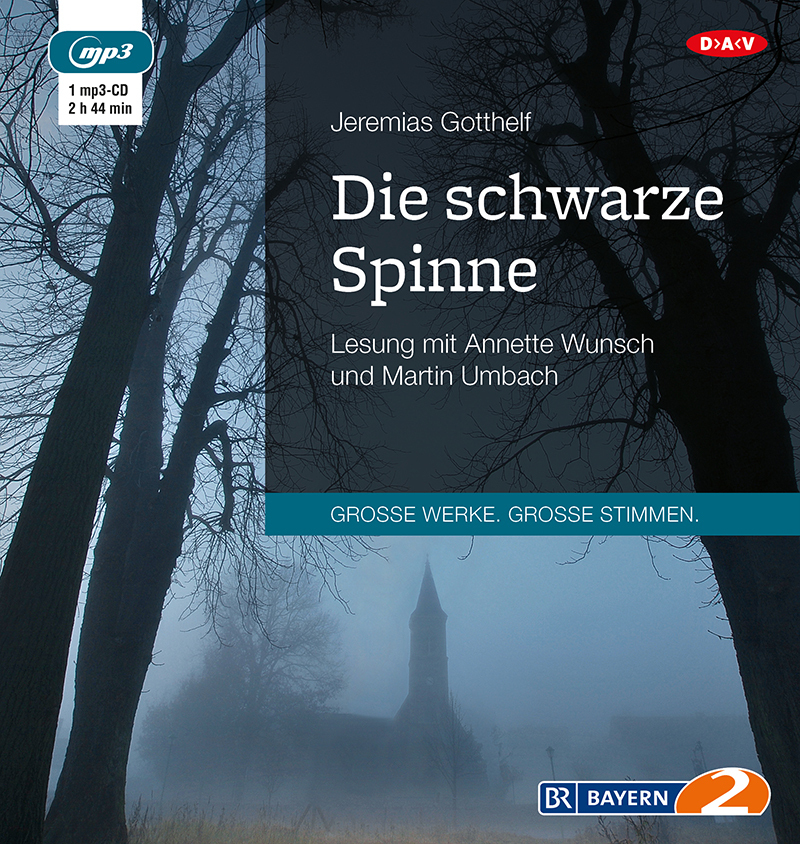 Die schwarze Spinne, 1 Audio-CD, 1 MP3 main product photo