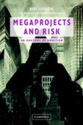 Megaprojects and Risk main product photo
