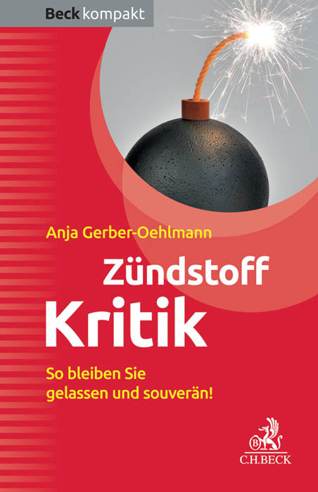Zündstoff Kritik main product photo