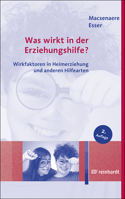 Was wirkt in der Erziehungshilfe? main product photo