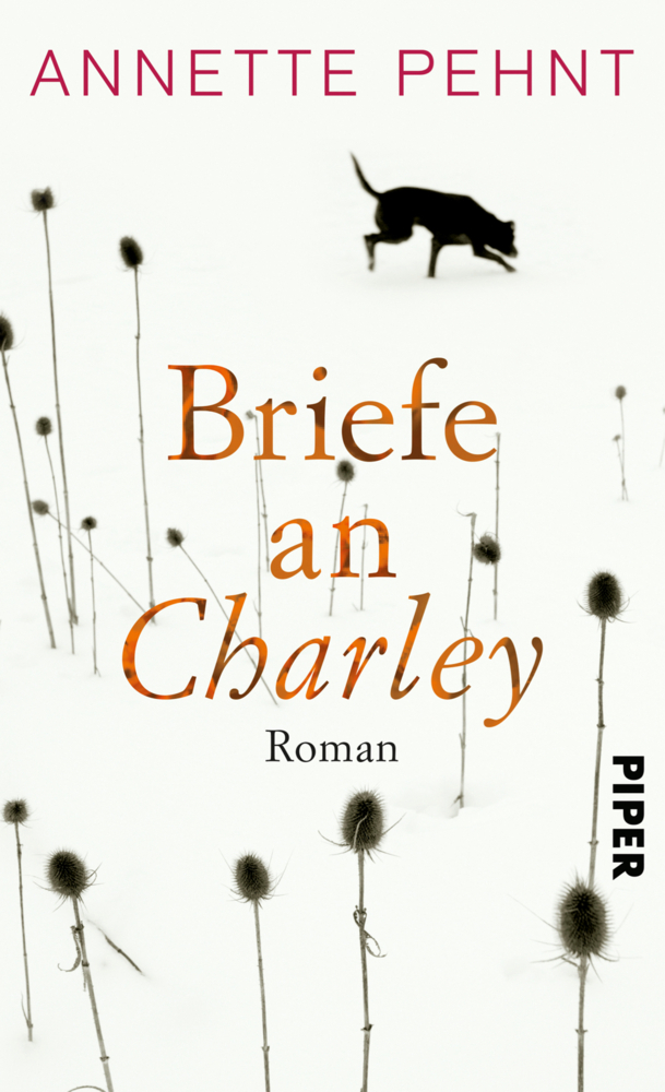 Briefe an Charley main product photo